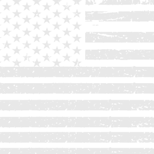 Emerson Theater Collaborative production of Democracy and Fayettenam symbolized by gray flag.